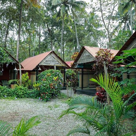 The Cliff Cottage فاركَالا المظهر الخارجي الصورة