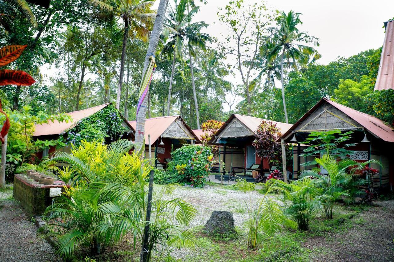 The Cliff Cottage فاركَالا المظهر الخارجي الصورة